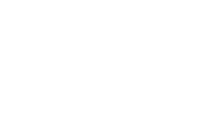 logo legno sinergia